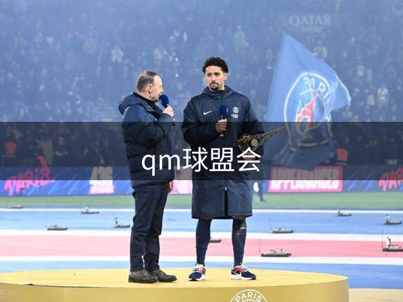 关于公司
